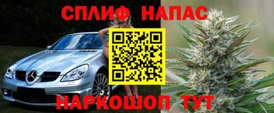 ПСИЛОЦИБИНОВЫЕ ГРИБЫ Аргун