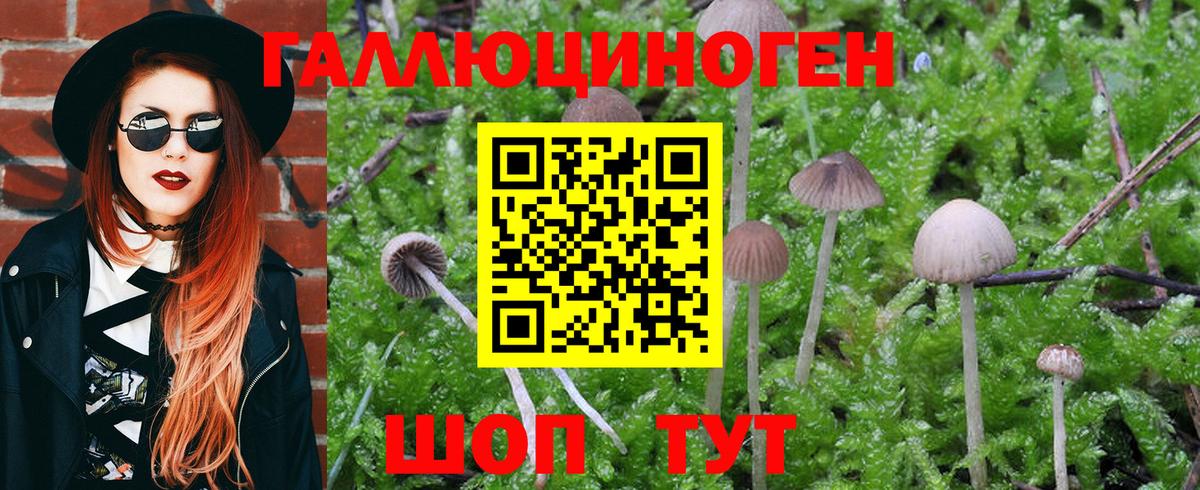 Псилоцибиновые грибы мухоморы Бузулук