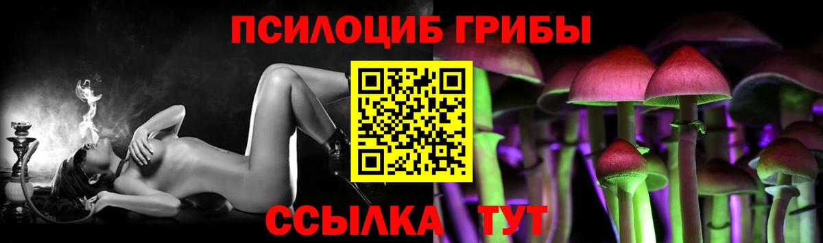 Галлюциногенные грибы мицелий  Псилоцибиновые грибы Psilocybe  Бузулук  Вход с VPN 